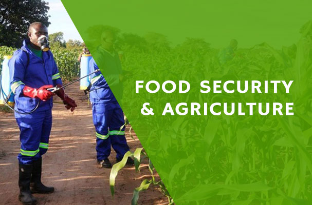 Food Security and Agriculture